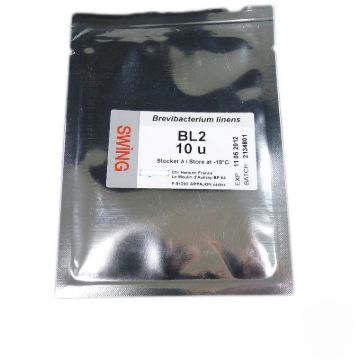 BL-2 Swing Freeze-dried 10 u